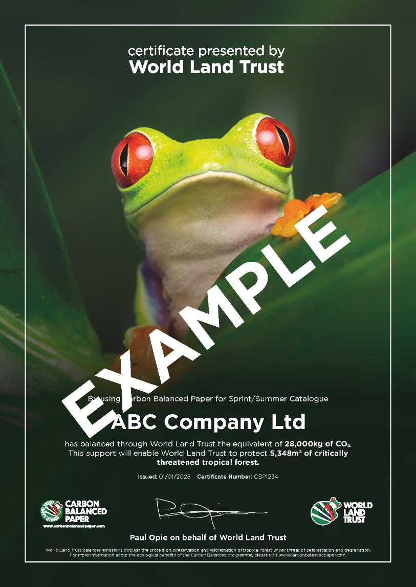 CBP WLT sample certificatte